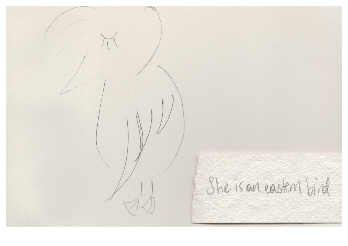 Collections-Eastern-Bird-Print-1-Hamide-Design-Studio Collections-Eastern-Bird-Print-1-Hamide-Design-Studio