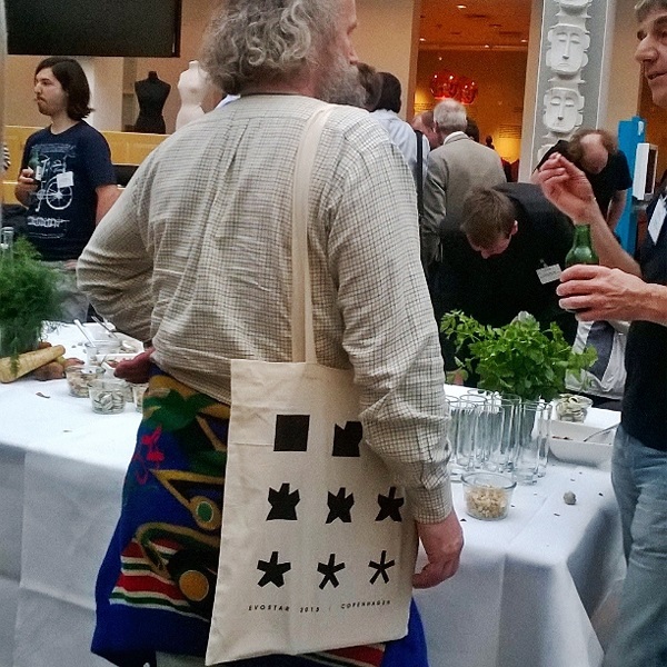 Consultancy-Evostar-Totebag-Usage-Hamide-Design-Studio