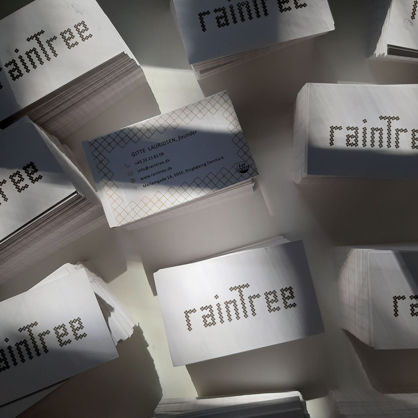 Updated RainTree Business Cards