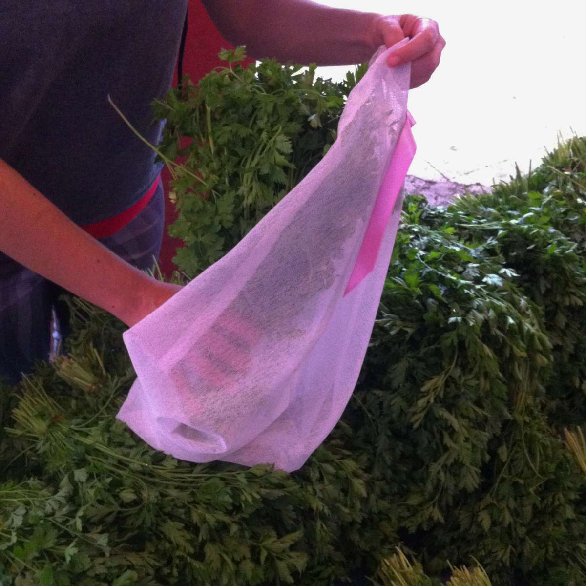 Blog-2019-Test-Ride-Tulle-Sacs-Slow-Living-Enthusiasts-Usage-Shopping-Herbs-Hamide-Design-Studio Usage of tulle sacs for the slow living enthusiasts at the bazaar