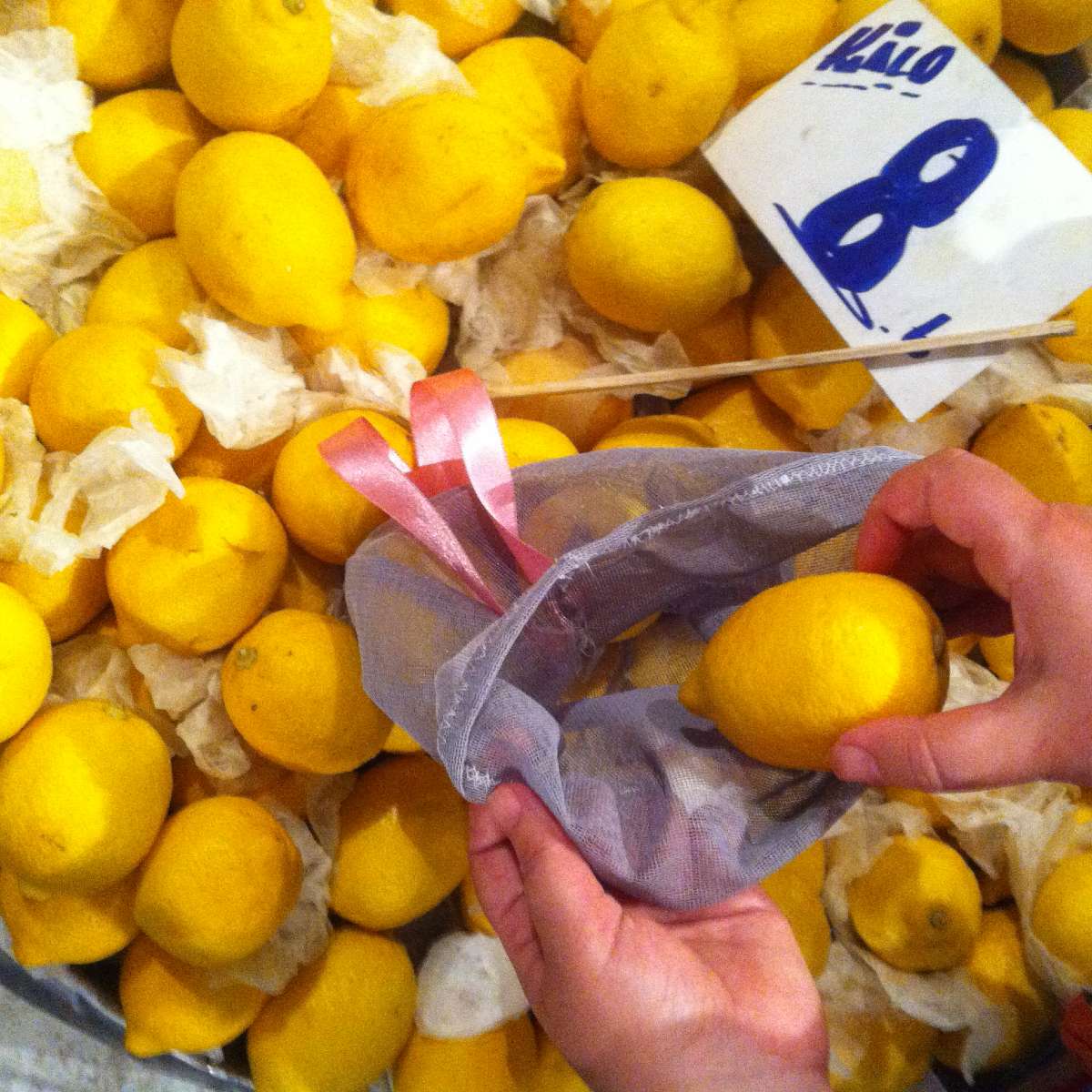 Blog-2019-Test-Ride-Tulle-Sacs-Slow-Living-Enthusiasts-Usage-Shopping-Lemon-1-Hamide-Design-Studio Usage of tulle sacs for the slow living enthusiasts at the bazaar
