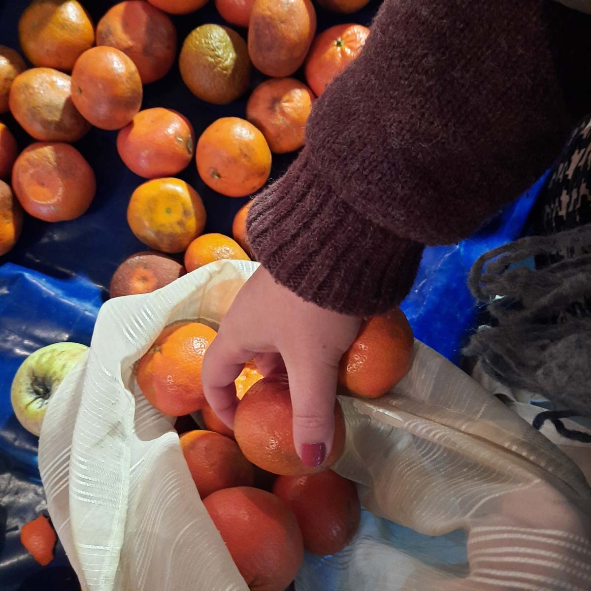 Blog-Here-We-Go-2020-Using-Tulle-Sacs-2-Hamide-Design-Studio (1 of 1) Filling tulle sac with tangerines