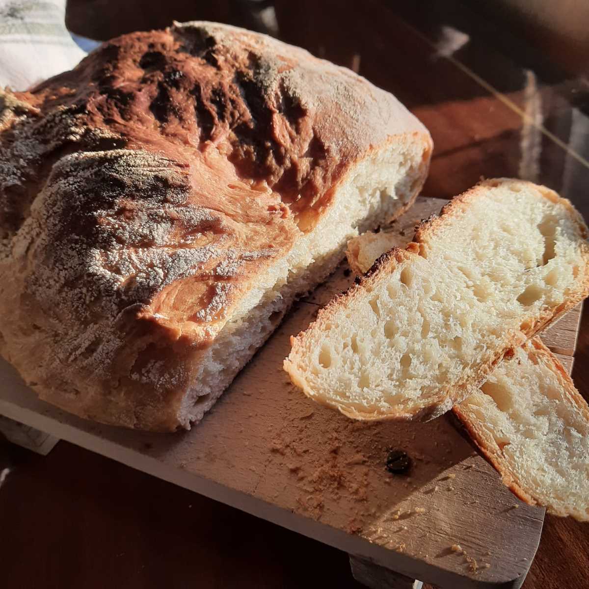 Blog-2020-Thriving-Under-Quarantine-Bread-Hamide-Design-Studio